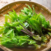 季節の野菜