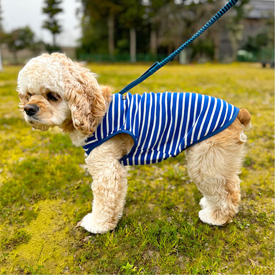 モデル犬：体重8kg・背丈42cm・胸囲46cm／42サイズ着用
