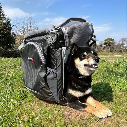 サイドのメッシュパネルを開けると簡易ケージとしても使用できます。モデル犬：体重5kg