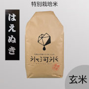 令和7年産　氷河米「はえぬき」玄米10kg