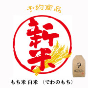 令和8年産 氷河米「でわのもち」白米5㎏【出荷時期：11月中旬頃より順次発送】