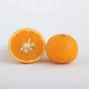 【訳あり】清見オレンジ　家庭用4kg（他商品との同時購入不可）【出荷時期：4月上旬より順次出荷】