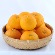 【訳あり】甘夏 家庭用4kg（他商品との同時購入不可）【出荷時期：4月上旬頃より順次出荷】