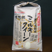 令和6年産　理想郷ミルキークイーン　白米20kg(5kg×4袋)