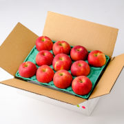 完熟紅玉3㎏ 9～13玉（他商品との同時購入不可）【出荷時期：10月上旬より / 販売期間：10月中旬まで】