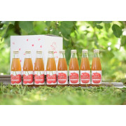 さくらんぼとリンゴのクラフトコーラ８本ギフト（他品番との同時注文不可）