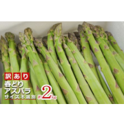 【訳あり】ご家庭用春採りアスパラ（Ｓ～2Ｌ・2kg）【出荷時期：4月下旬より / 販売時期：5月下旬頃まで】