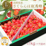 山形のさくらんぼ 紅秀峰 1kg バラ詰め「秀品」 (L玉以上)（他品番との同時注文不可）【出荷時期：6月中旬より順次】