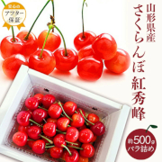 山形のさくらんぼ 紅秀峰500g バラ詰め「秀品」 (L玉以上)（他品番との同時注文不可）【出荷時期：６月中旬より順次】