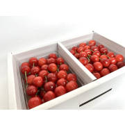 山形特産さくらんぼ「佐藤錦」秀 1kg（L以上）【他品番との同時注文不可】【出荷時期:6月中旬より順次】