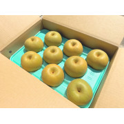 【家庭用】品種おまかせ　なまはげからの贈り物　梨5kg（他品番との同時注文不可）【出荷時期:9月上旬より順次】