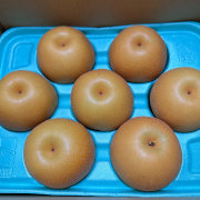 【訳あり】男鹿梨「南水」家庭用３ｋｇ【出荷時期:10月中旬より順次 / 販売期間:11月中旬まで】
