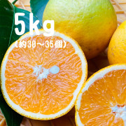 バレンシアオレンジ　家庭用5kg（他商品との同時購入不可）【出荷時期：6月下旬より / 販売時期：8月上旬頃まで】