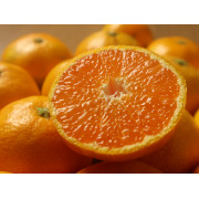 【訳あり】有田みかん１ｋｇ（他品番との同時注文不可）【出荷時期：10月中旬より順次】