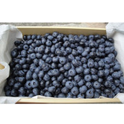 冷凍ブルーベリー1kg（500g×2パック）（他品番との同時注文不可）【出荷時期：8月上旬より】
