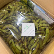 【訳あり無選別】青森県の隠れた名品　毛豆（他品番との同時注文不可）【出荷時期：9月下旬より順次 】