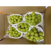 シャインマスカット家庭用２ｋｇ（他品番との同時注文不可）【出荷時期：9月下旬より順次】