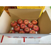 サンふじ家庭用５kg　（他品番との同時注文不可）【出荷時期：12月上旬より順次】