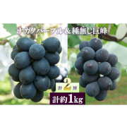 ナガノパープル＆種無し巨峰 2房入 1kg（他品番との同時注文不可）【出荷時期：9月上旬から順次】