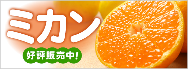 【フレンドマーケット】ミカン