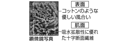 イメージ画像